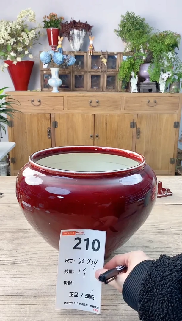 小玩子花盆直播号210