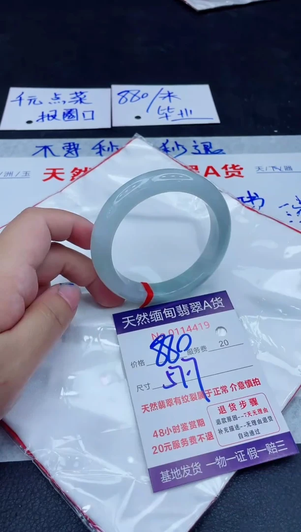 未镶嵌手镯翡翠880.00000