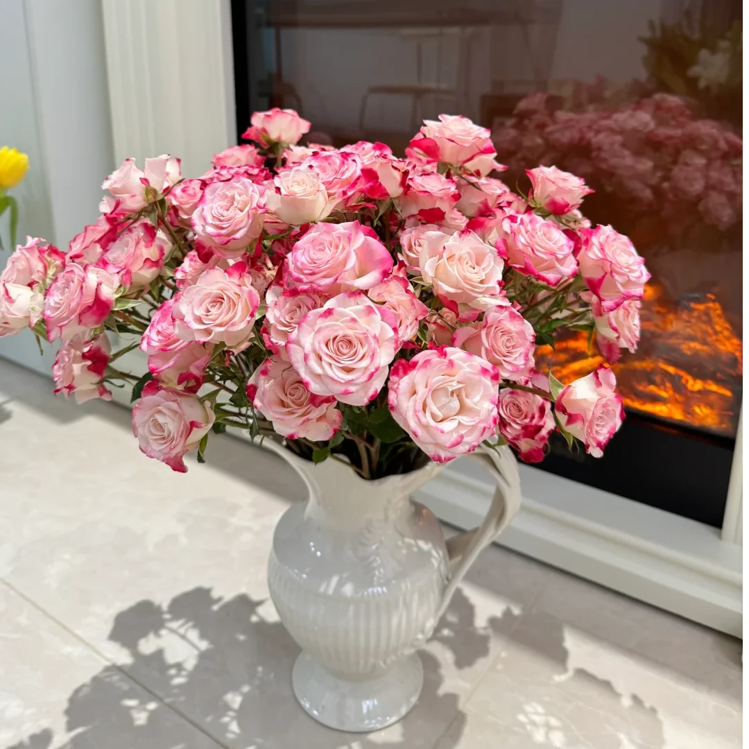 【折射泡泡】多头玫瑰10枝 基地直发 | 全场鲜花任意两单包邮