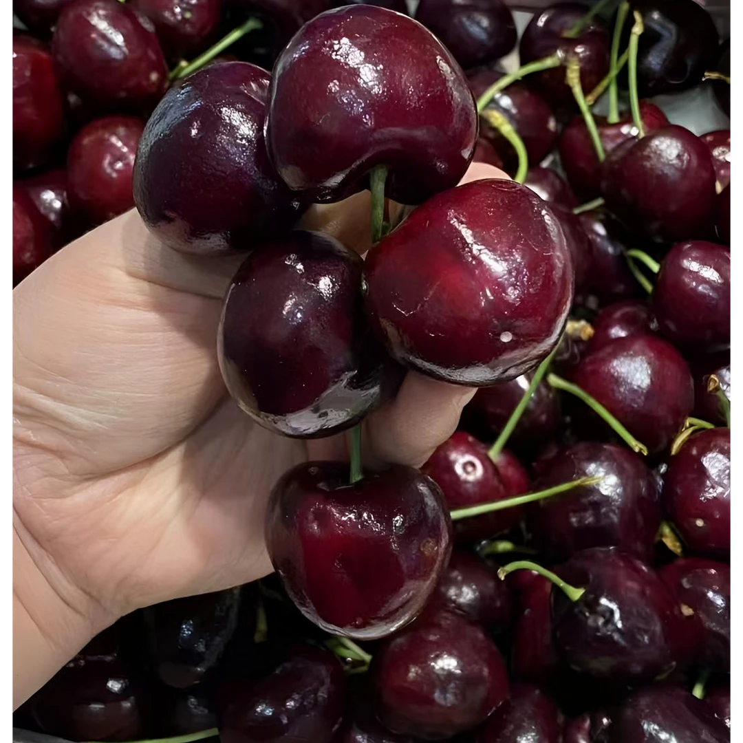 4JD瑞吉娜车厘子5斤