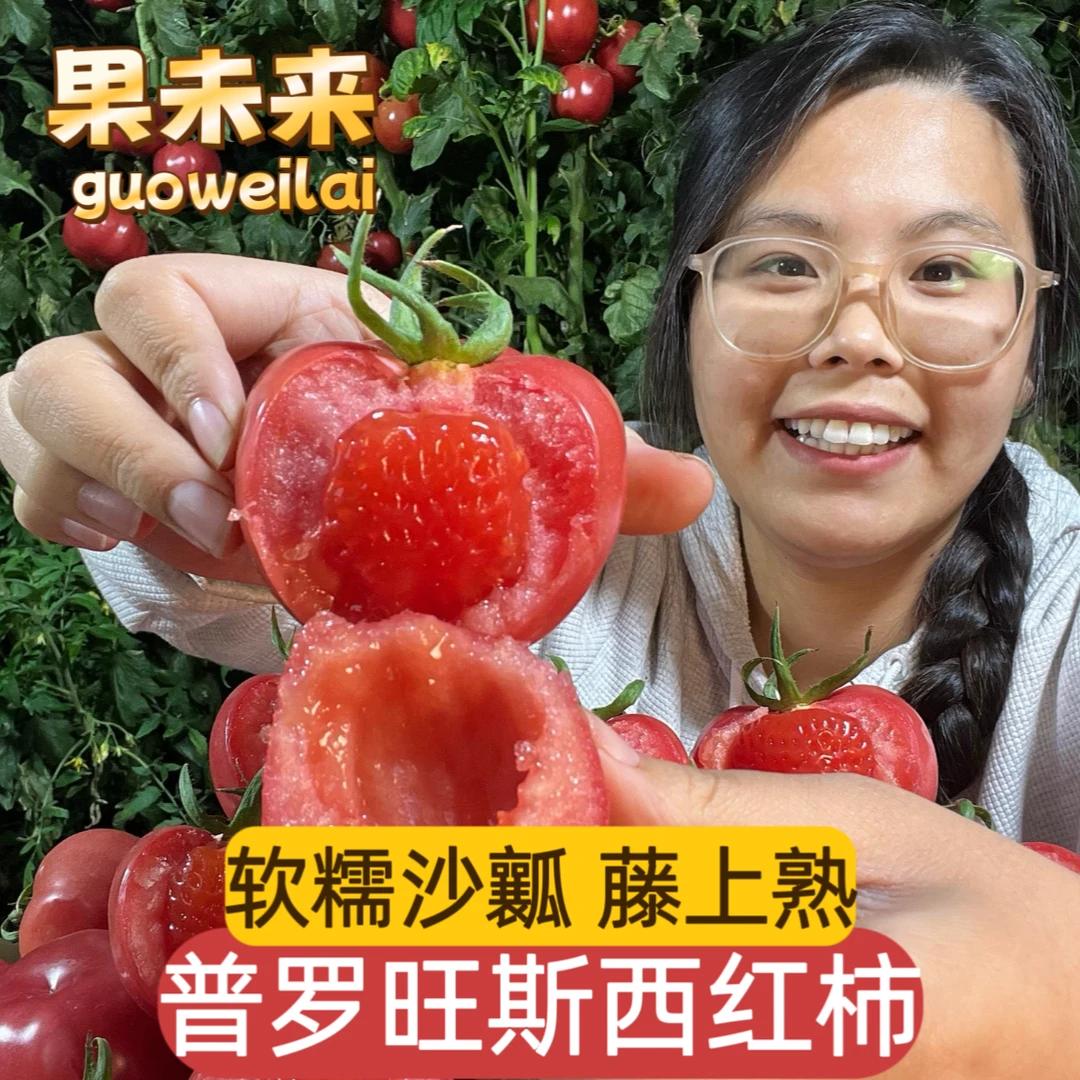 【果未来】普罗旺斯番茄沙瓤草莓心西红柿正宗陕西泾阳自然熟生吃