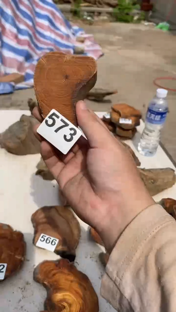 柏木（崖柏）太行陈化崖柏切片一块（津诚林）573