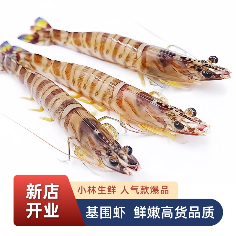 【小林生鲜新店开业】斑节虾（基围虾）肉质鲜嫩紧实高品质海鲜1kg
