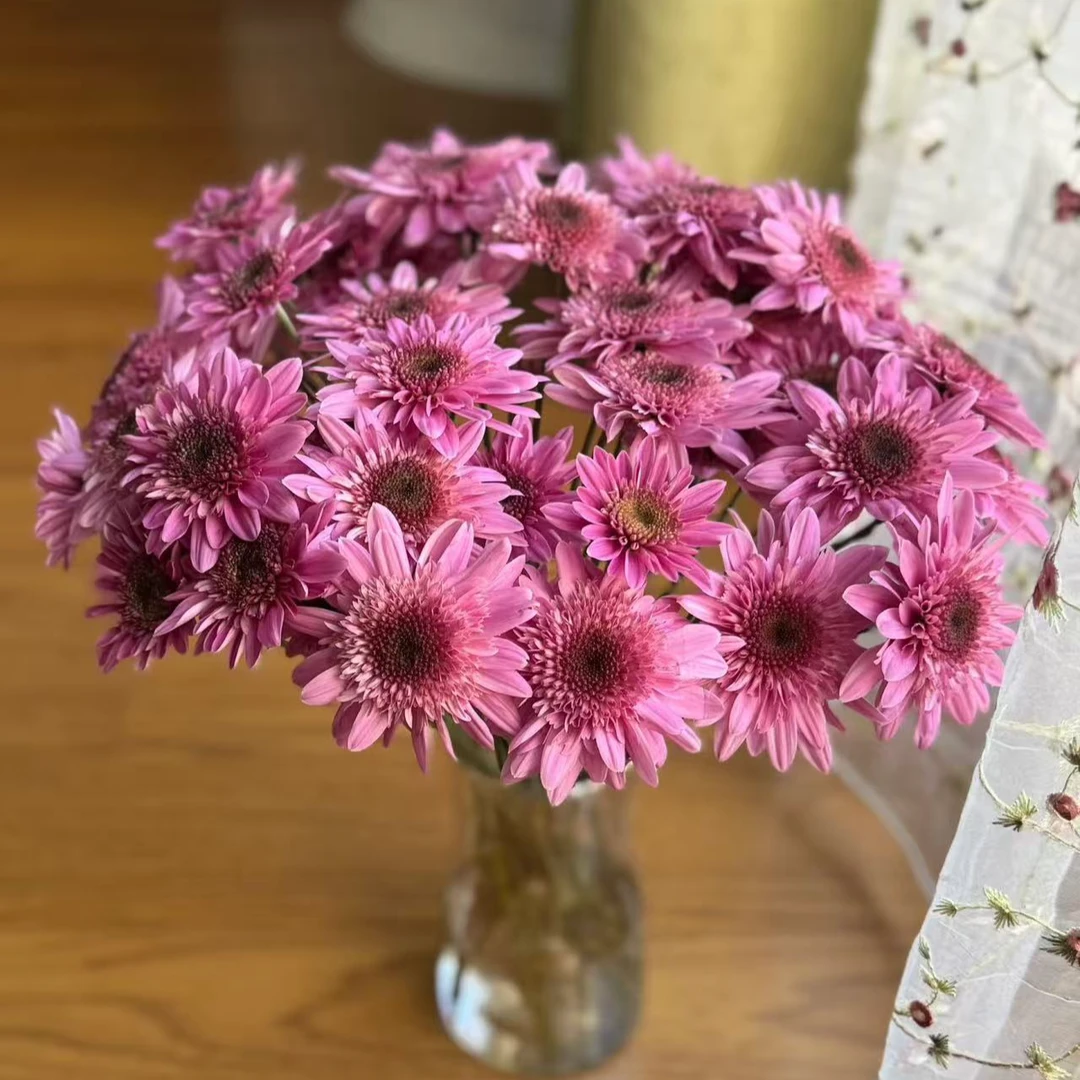 【顺丰发货】粉红帽雏菊鲜花1-4单一个运费自选品种