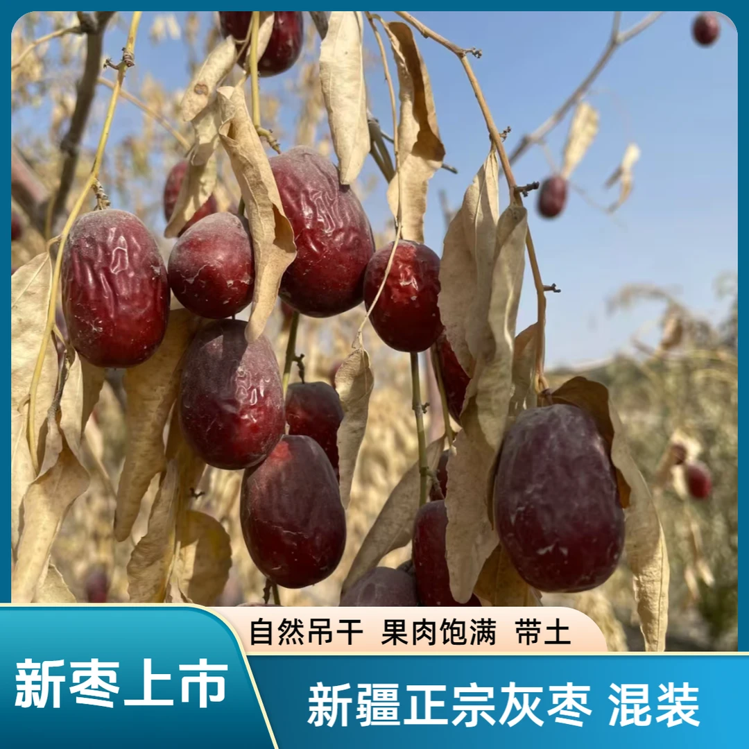 新疆正宗灰枣 新枣 大小混装