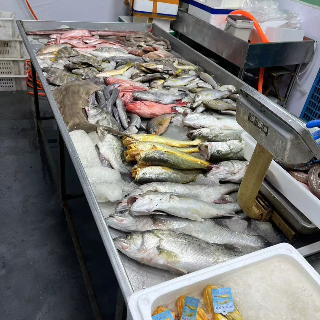 1 野生海鱼 直播间称重链接A