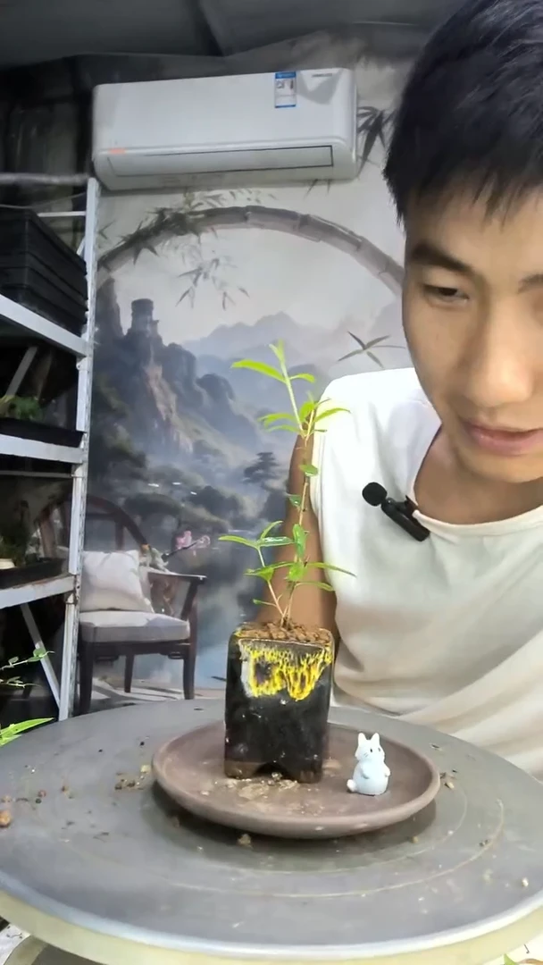 S****多中青园艺一物一拍184