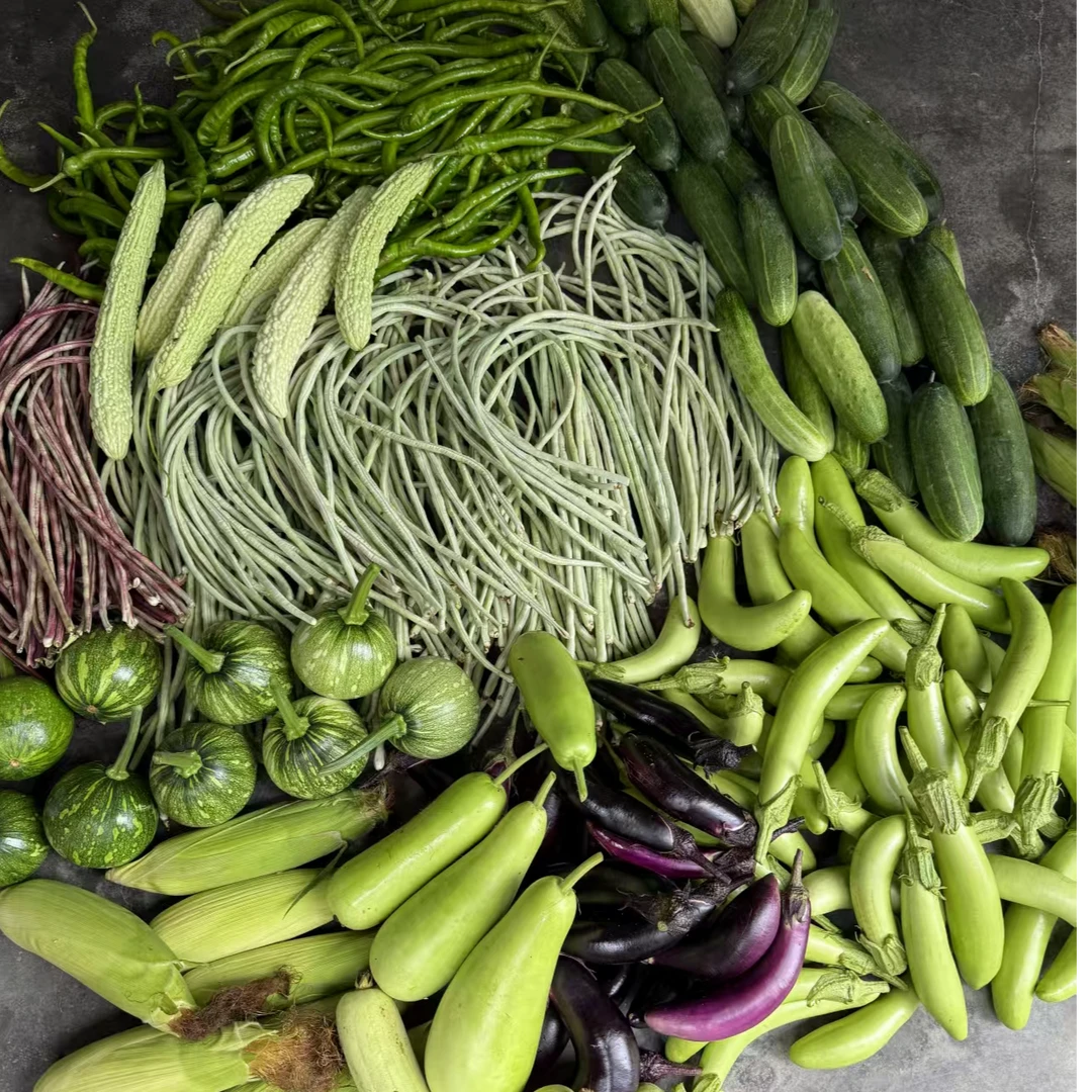 应季蔬菜组合茄子辣椒苦瓜豆角蒲瓜新鲜蔬菜4斤