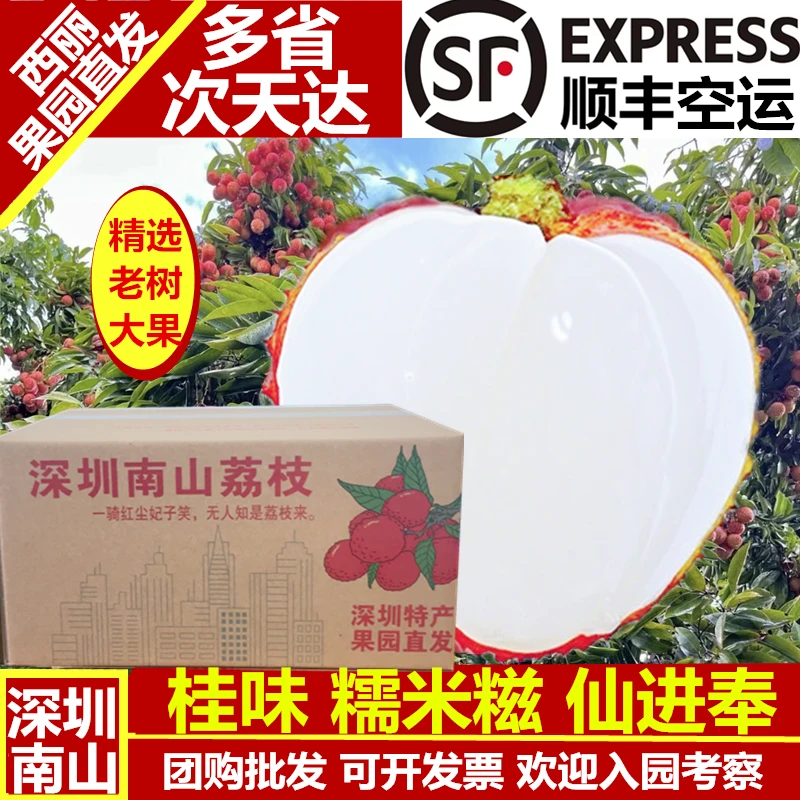 顺丰空运深圳特产南山荔枝西丽新鲜仙进奉5斤老树桂味水果糯米糍