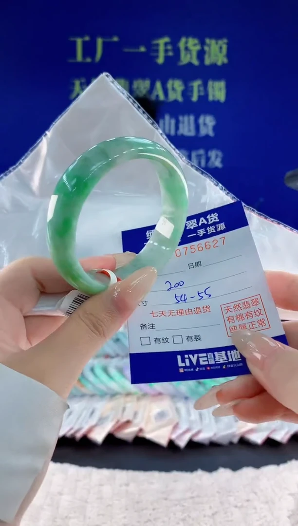 未镶嵌手镯翡翠27