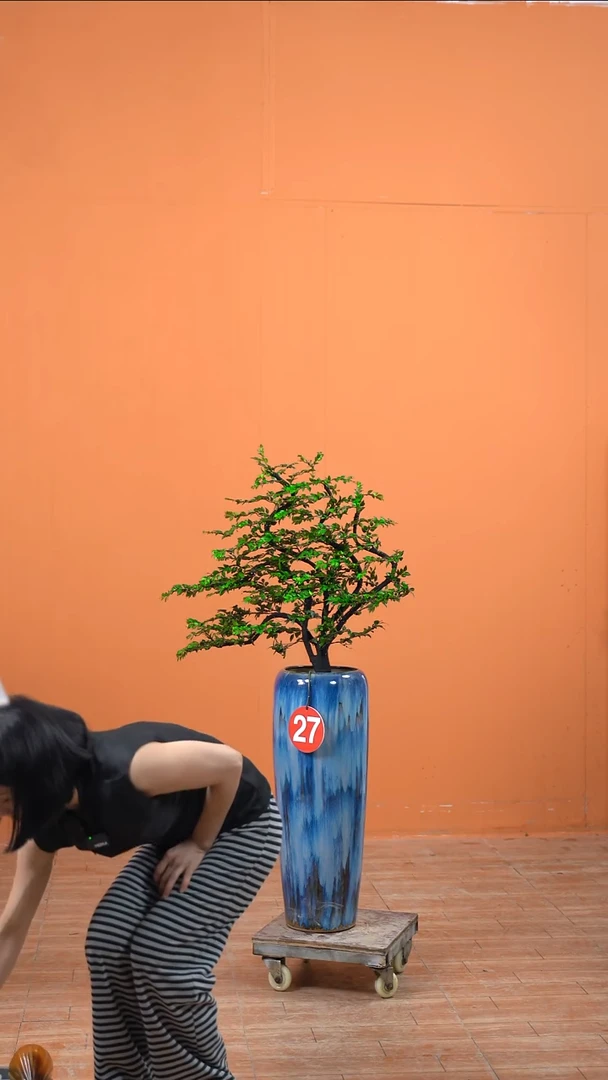 无花朵佰***金广东小叶紫檀