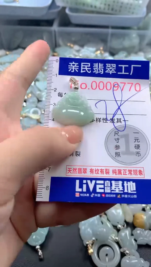 颈饰未镶嵌翡翠9770