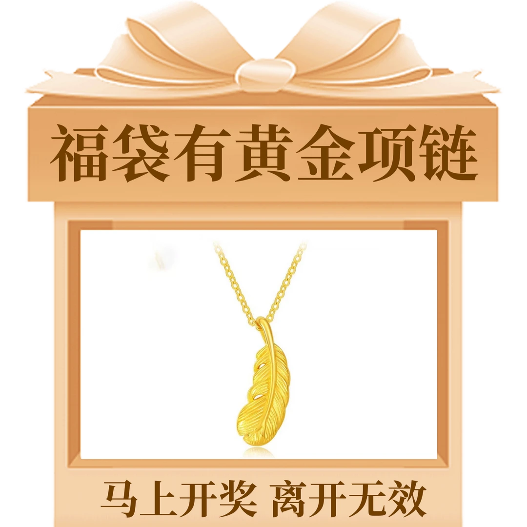 【郭少芸专属】左上角参与小天使之翼饰品项链