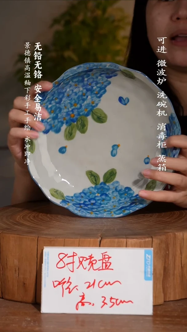 碗瓷景德镇高温瓷釉下彩手绘陶瓷