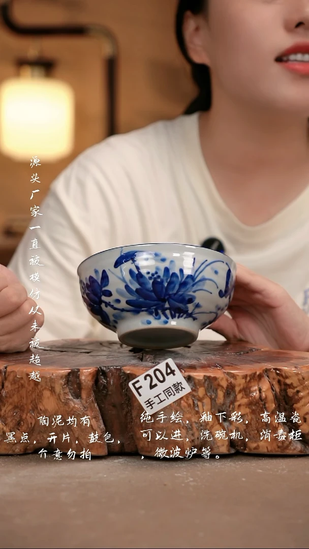 其他F204 新十二器