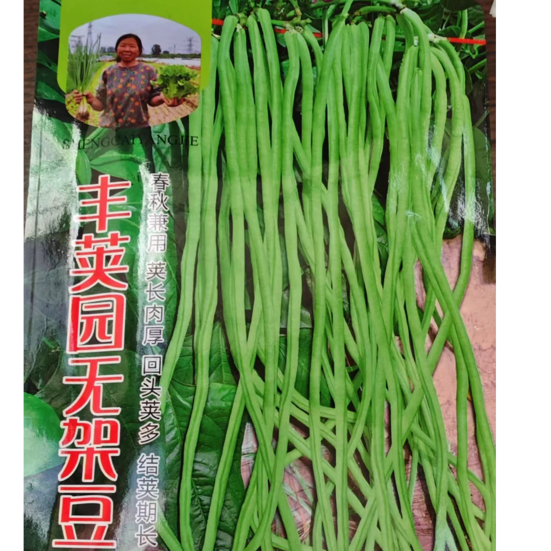 摘不败春秋无架豆角种籽荚长肉厚豆角种子
