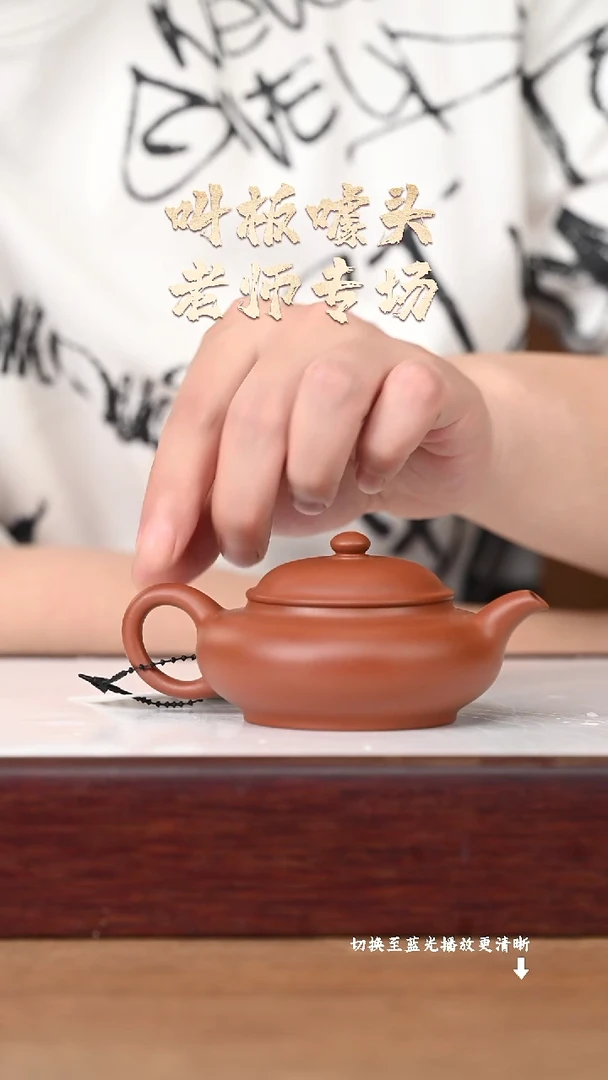 茶壶紫砂AA17695张明-卧龙