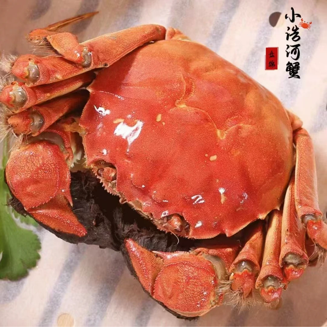 盘锦稻田蟹双A手选穿心红的品质【1.3-1两】母蟹三斤送六只公蟹