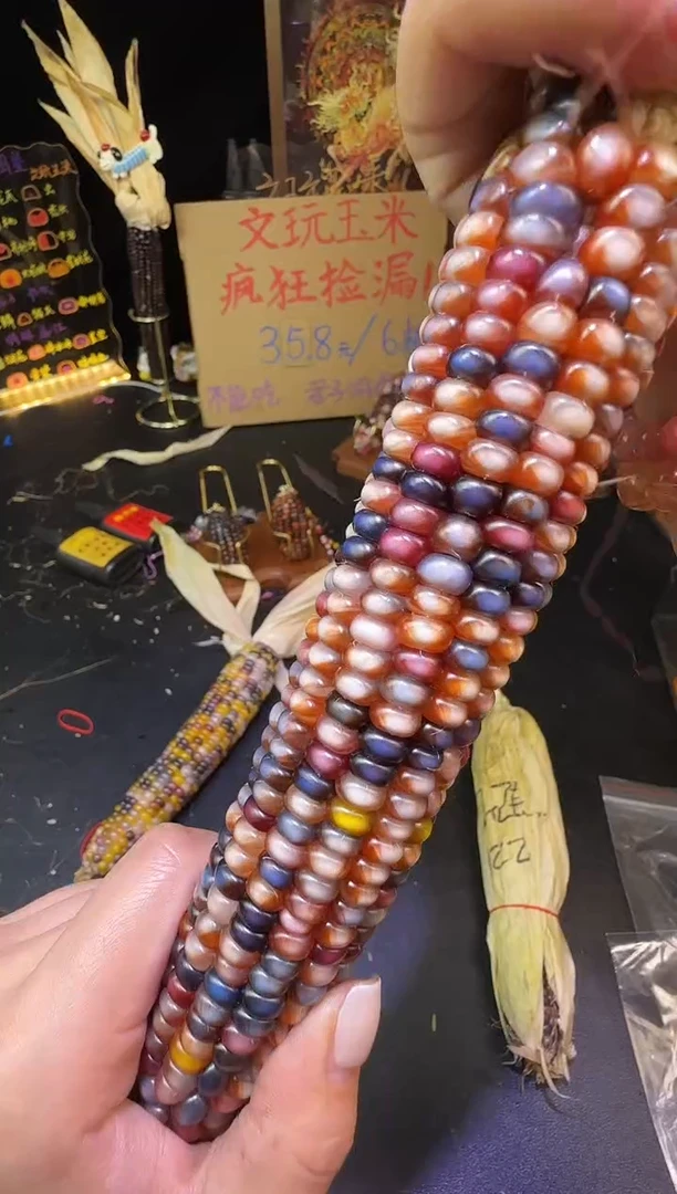 初*初哈哈哈哈哈哈哈哈哈
