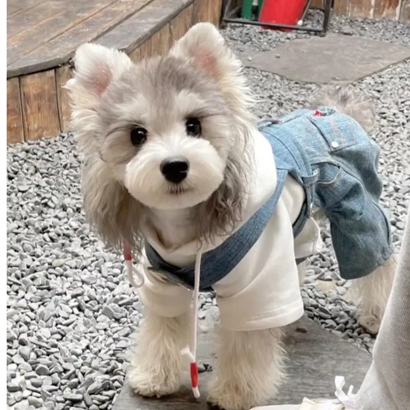 尚宠【雪纳瑞小屋】精品可爱狗狗活体通用链接-SC-030