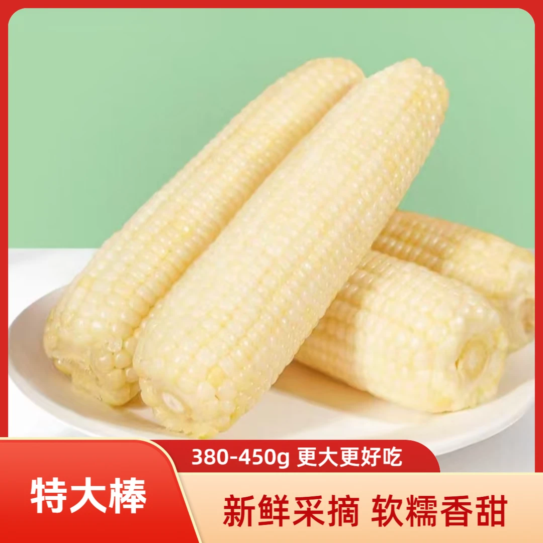 【8斤特大棒】白糯玉米25年头茬软糯香甜单根380g-480g（2根试吃）