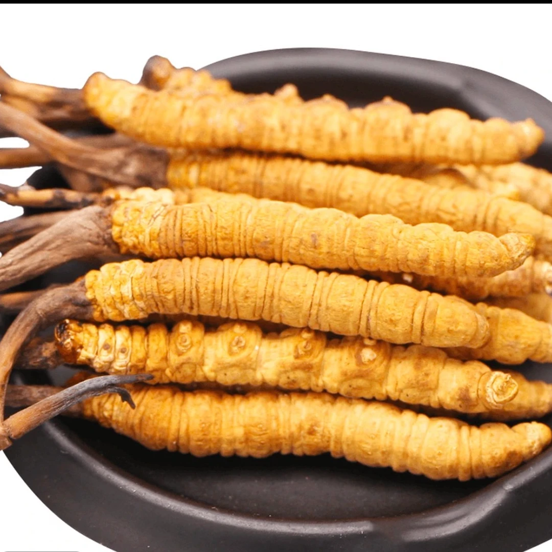 【藏区整草0.7克/根】2025头期虫草干草泡酒煲汤滋补正宗雪山送礼