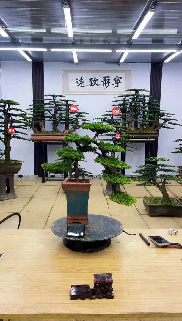 【闪购商品】00000000000