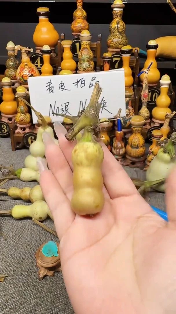 随**遇高端客户高端定制