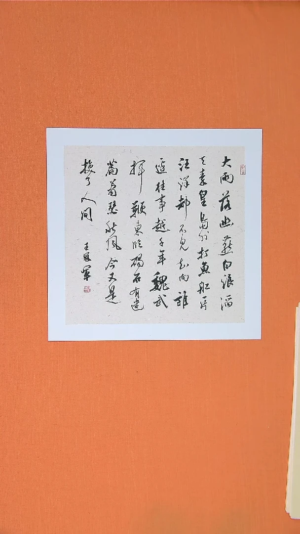 书法王老师书法作品50*50大雨落幽燕