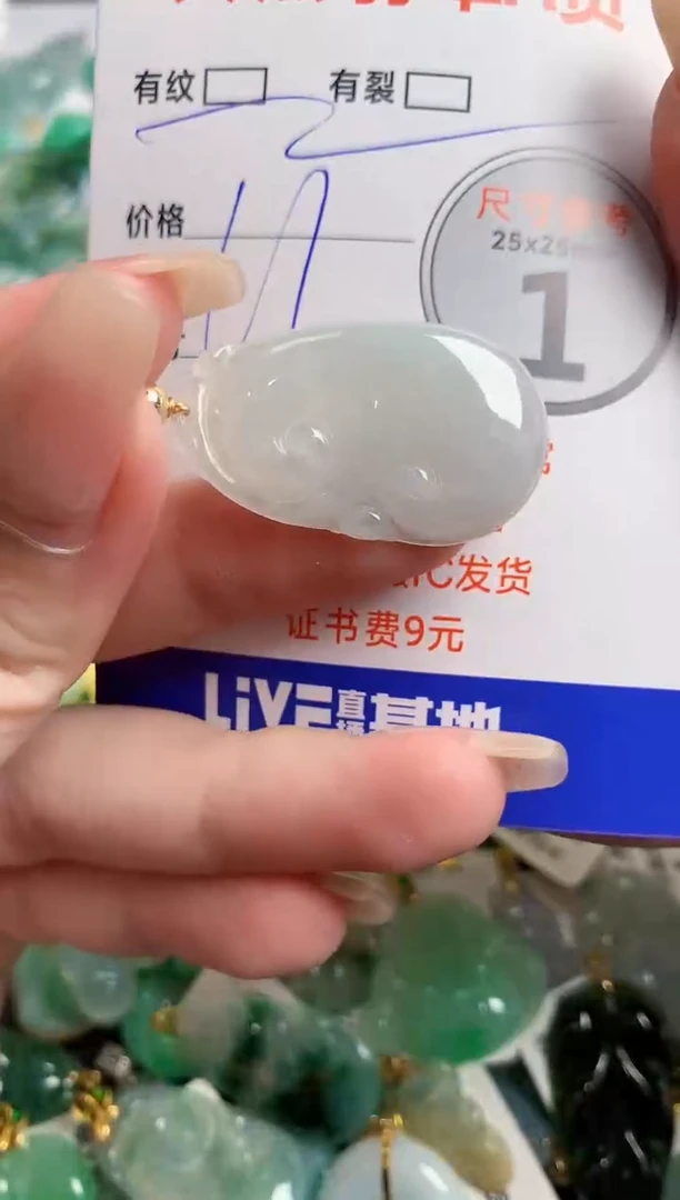 翡翠未镶嵌颈饰23000918