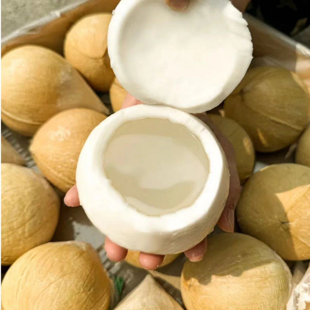 T泰国丹嫩沙多核心产区椰皇6-9颗装（400-1000g/颗） 顺丰京东
