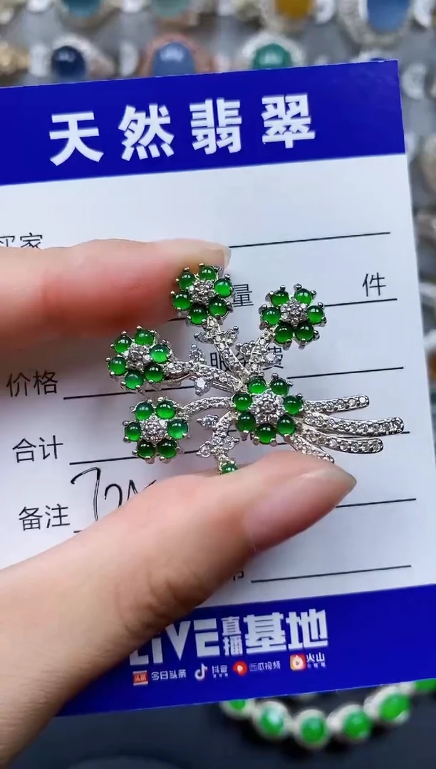 翡翠银S925镶嵌颈饰726