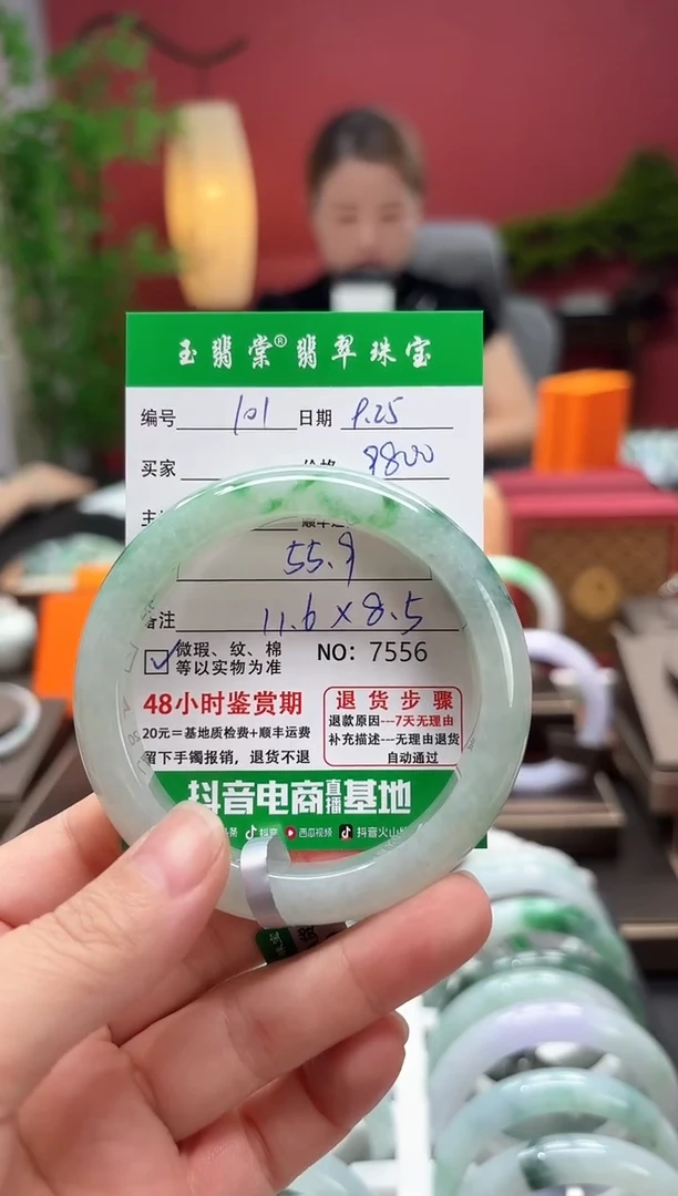 未镶嵌手镯翡翠翡翠101