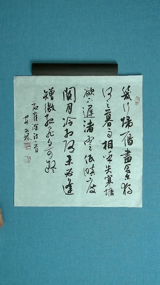 【闪购商品】书法203 甘肃安世林中书协43*43