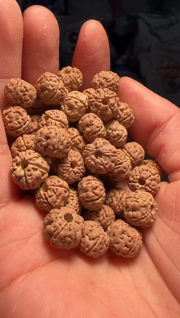 手串金刚菩提1非全品老树王散籽10-11mm一份一百颗