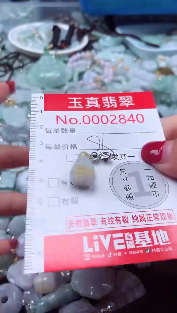 颈饰未镶嵌翡翠2840