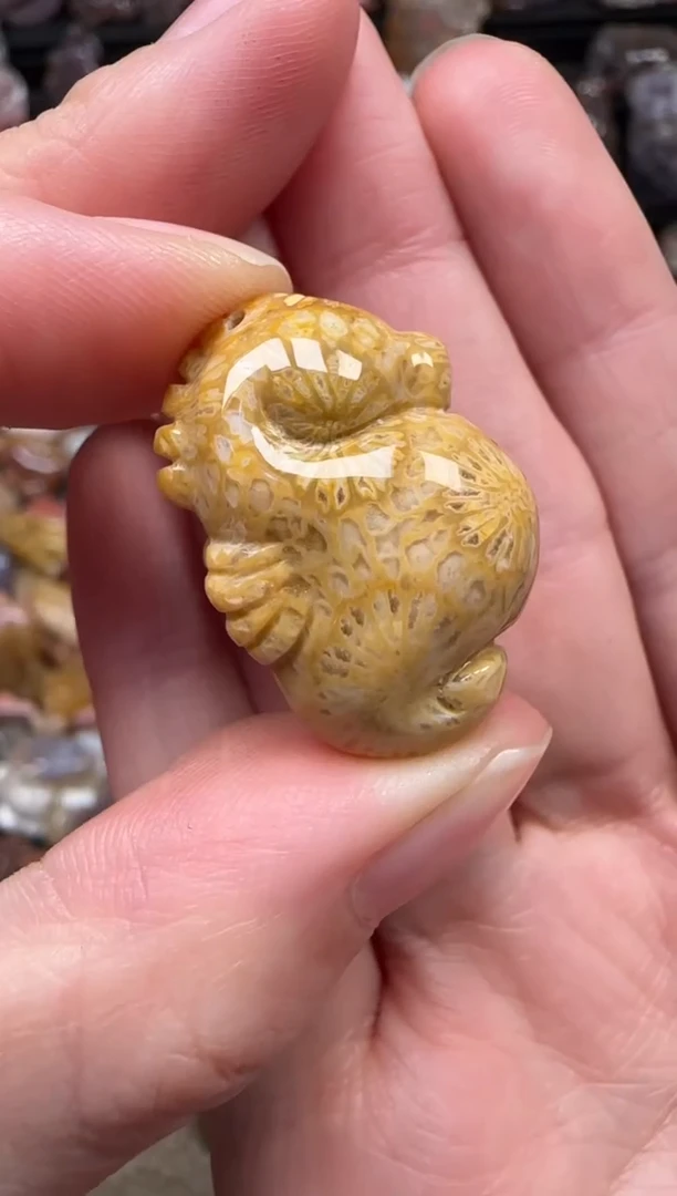 颈饰未镶嵌硅化珊瑚（珊瑚玉）742