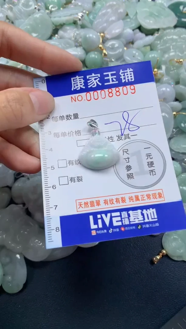 颈饰未镶嵌翡翠8809