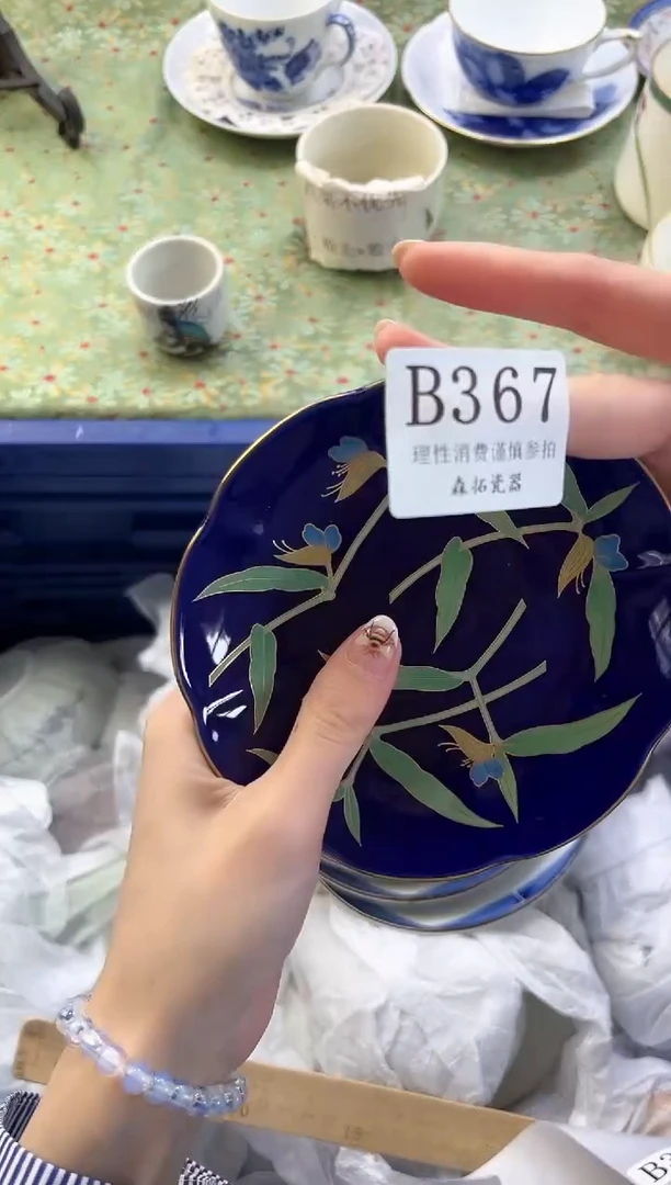 【闪购商品】瓷片          B367