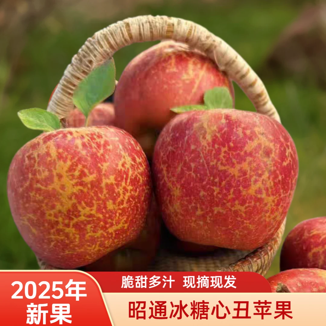 现摘2025年云南昭通冰糖心丑苹果新鲜水果整箱脆甜多汁