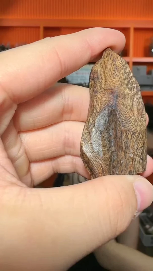 沉香吊坠493号沉水原母树小包头多样性发一