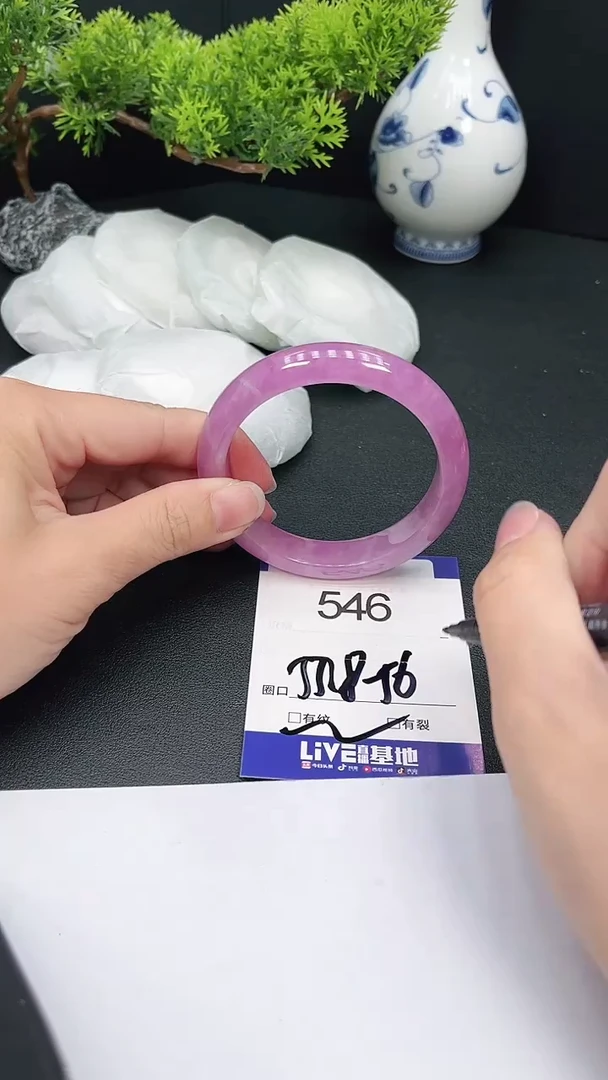 未镶嵌手镯翡翠546