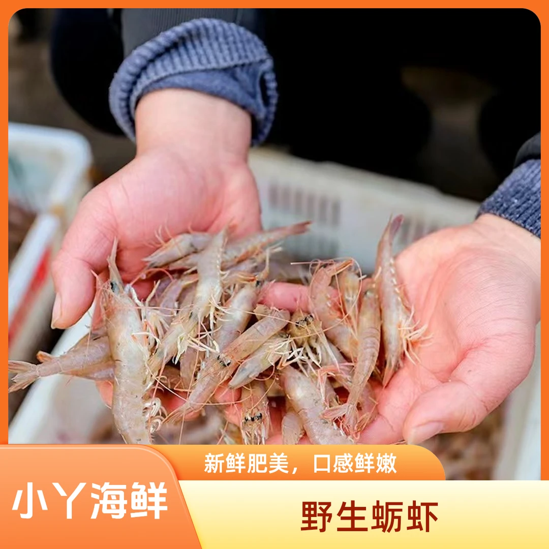 【野生蛎虾】冻发 当地野生海捕蛎虾4斤大小不一易掉黑头介意勿拍