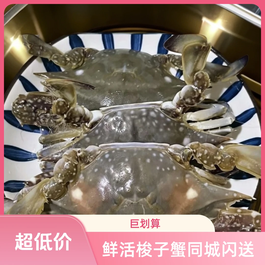 【鲜活】公母混装梭子蟹单只2-5两 螃蟹海鲜海蟹 规格可选
