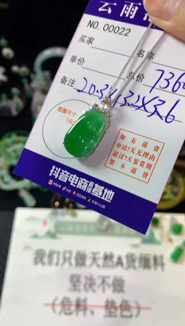 翡翠银S925镶嵌颈饰翡翠