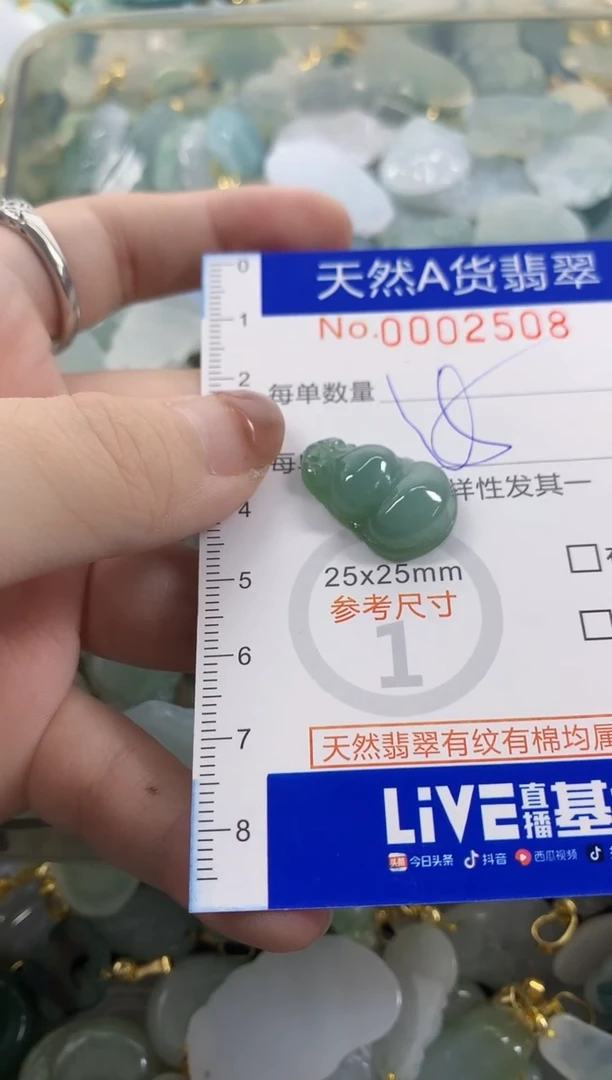 颈饰未镶嵌翡翠天然A货翡翠