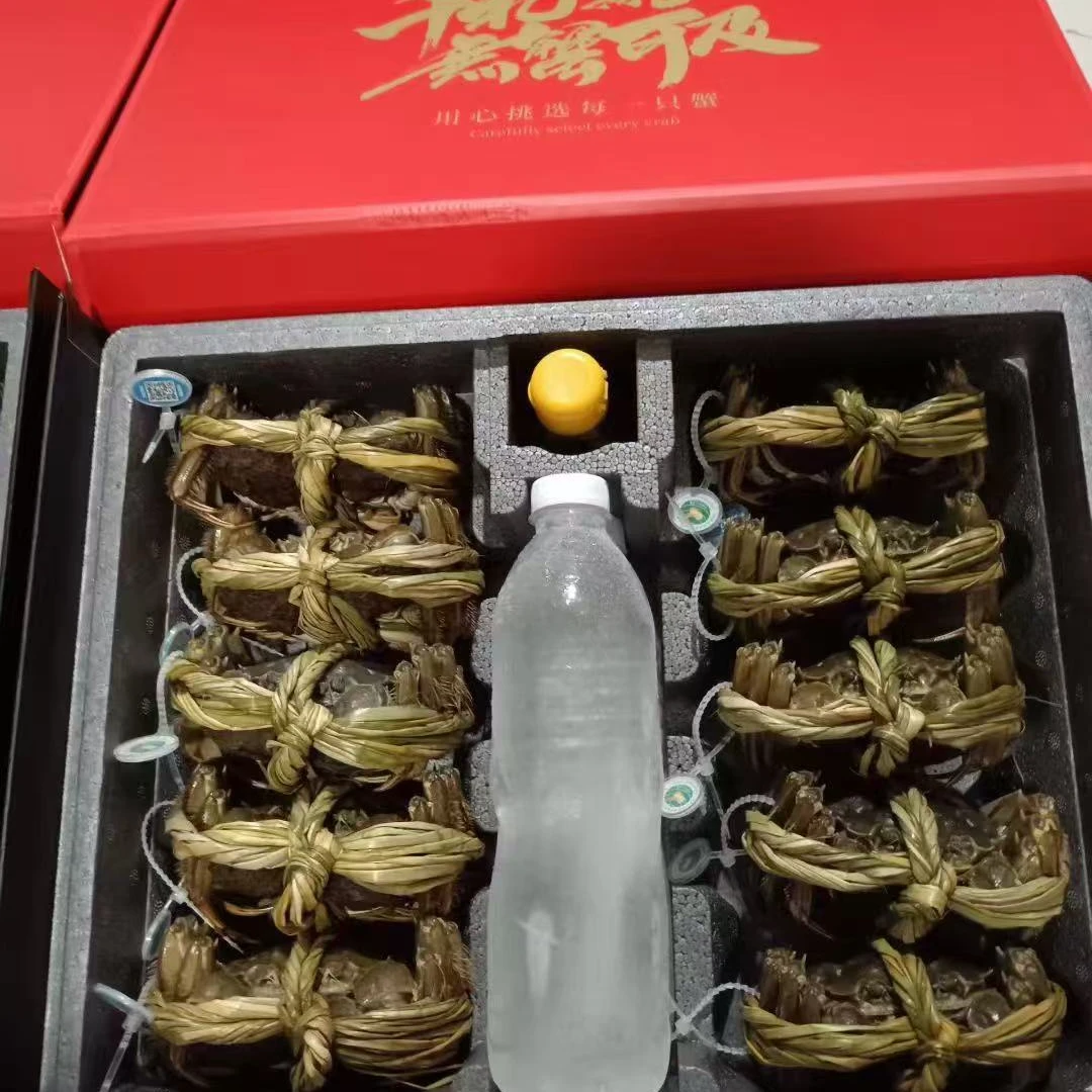 兴化精品塘口的挑膏蟹2.5两母一只