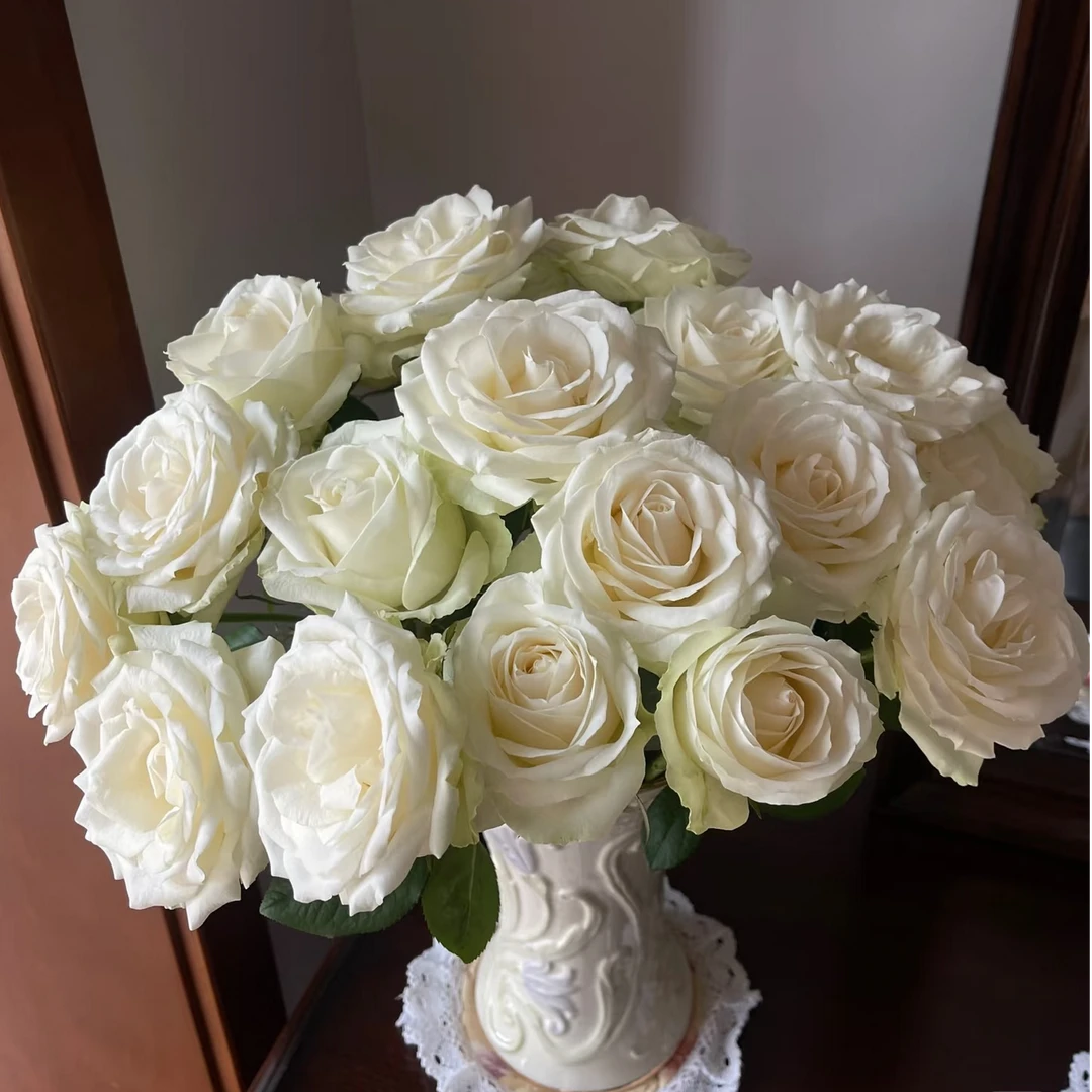 【白雪山玫瑰】任意两单及两单以上鲜花顺丰冷链包邮发货