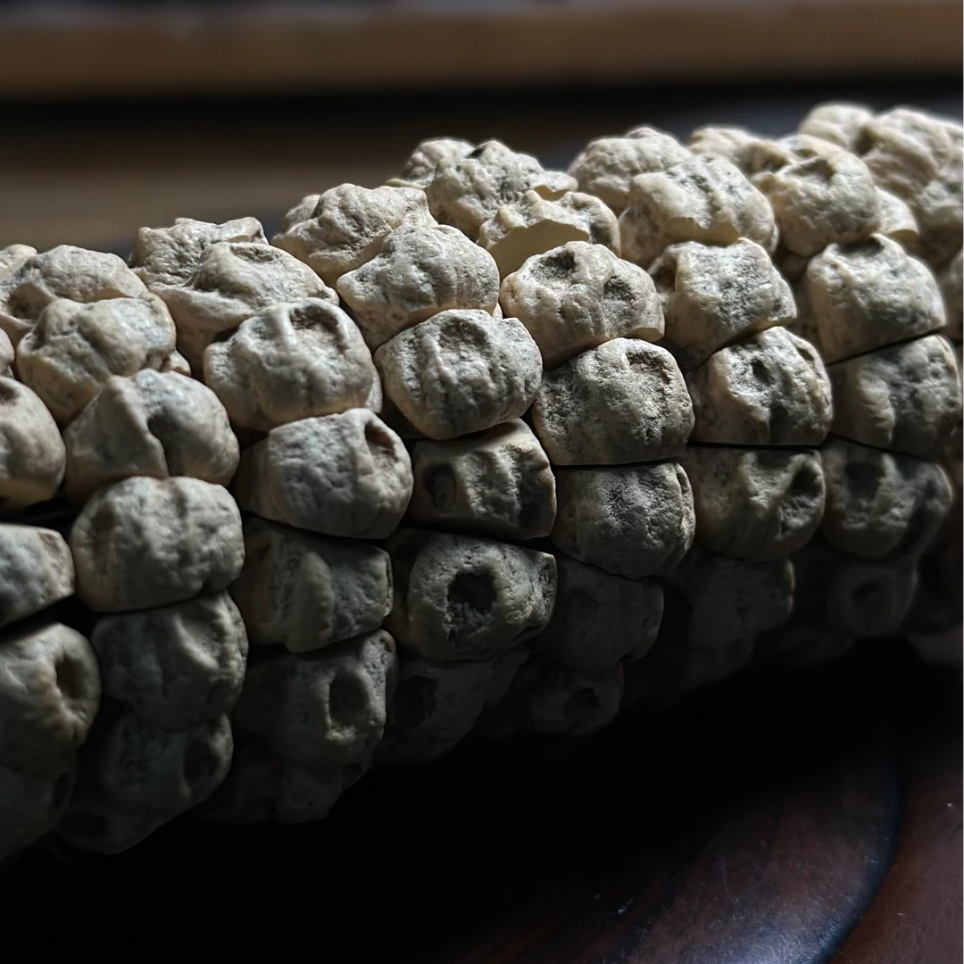 热振百香籽手串【焚天】斜切狂野龙脊深坑大肠高油密108长串文玩