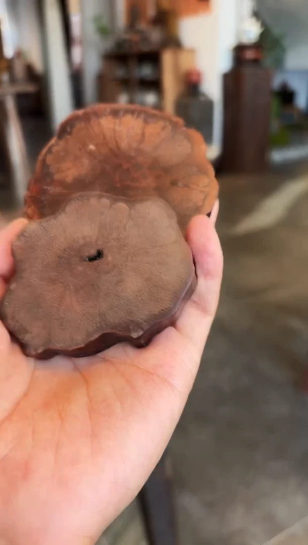 【闪购商品】茶道配件茶道配件2个一组一大小